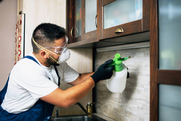 Best Best Pest Control Companies  in Alburtis, PA