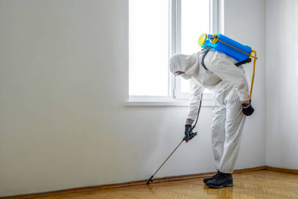 Best Pest Control for Businesses  in Alburtis, PA