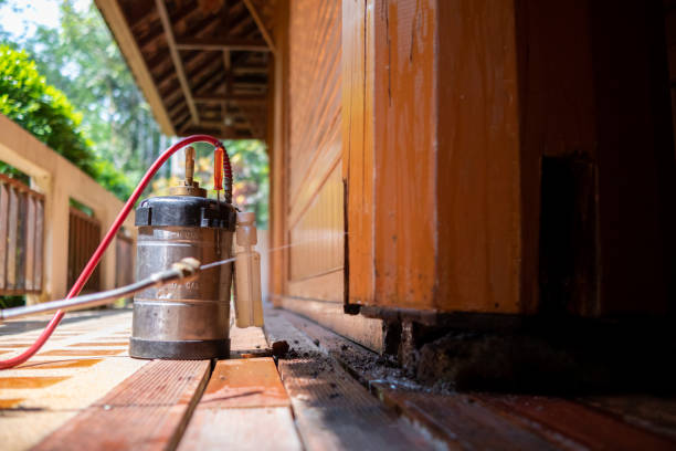 Best Best Pest Control Companies  in Alburtis, PA