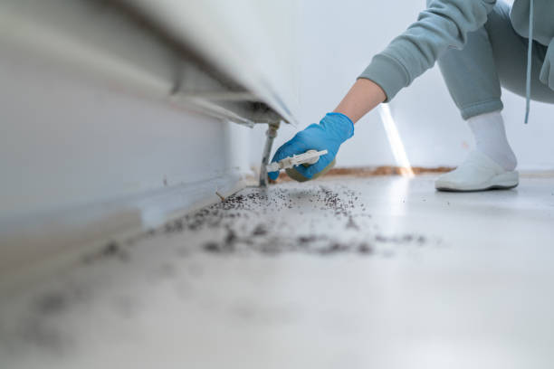 Best Emergency Pest Control  in Alburtis, PA